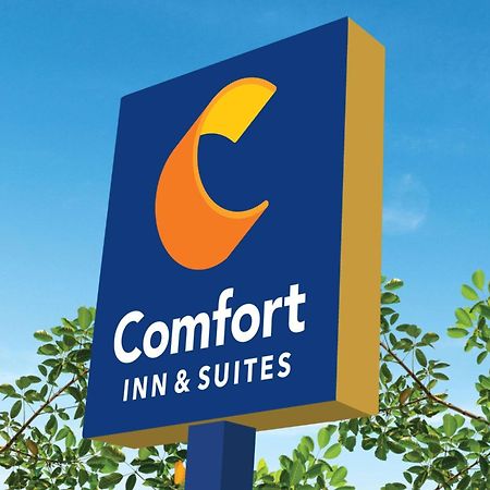 Comfort Inn & Suites Waco Dış mekan fotoğraf